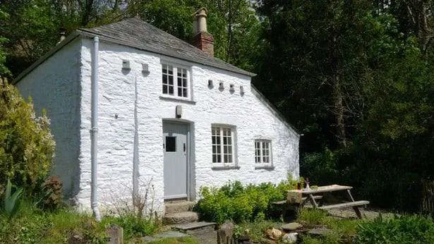Dog friendly cottages in cornwall